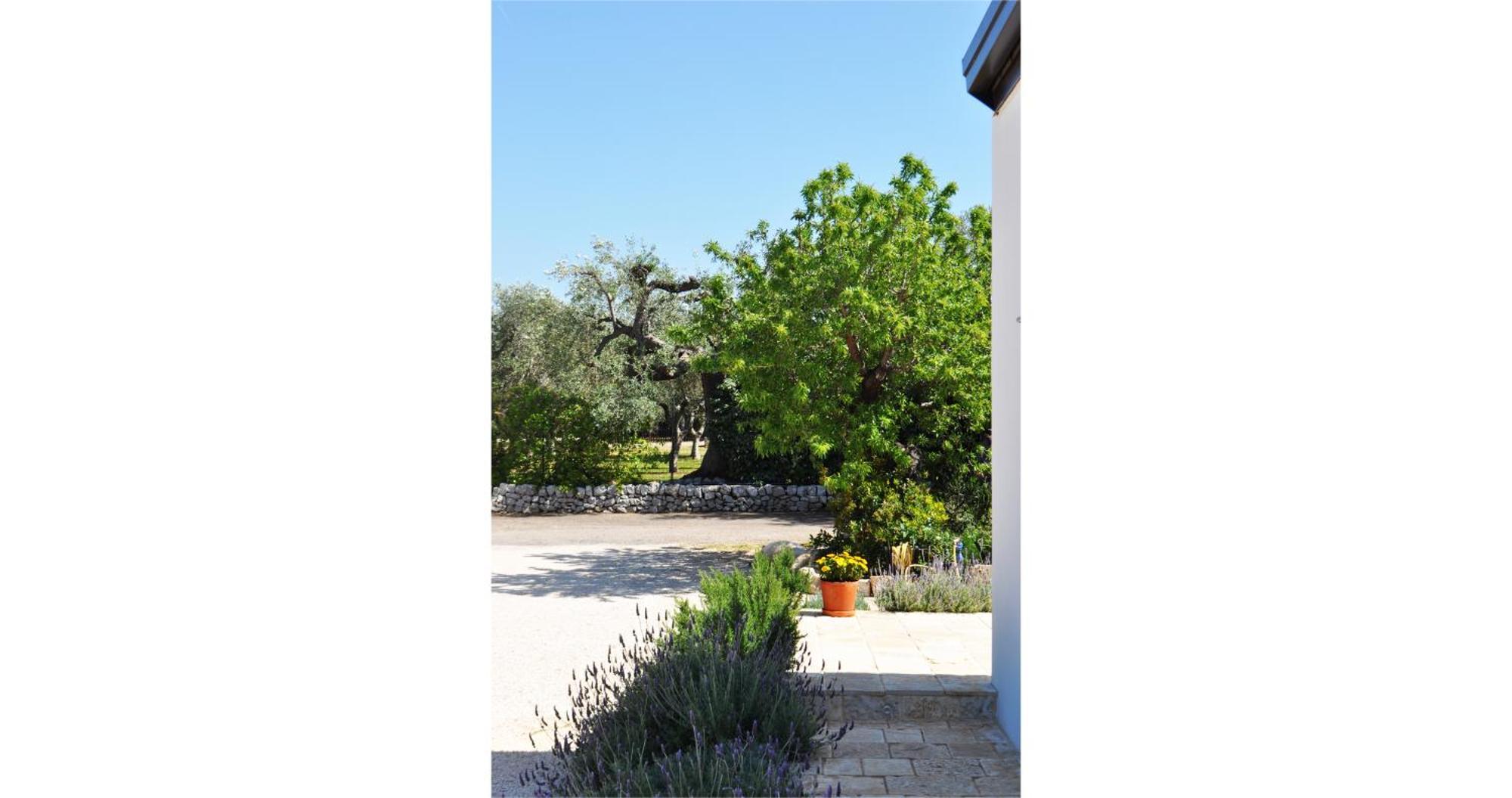 Casale Petrarolo Bed & Breakfast Monopoli Exterior photo