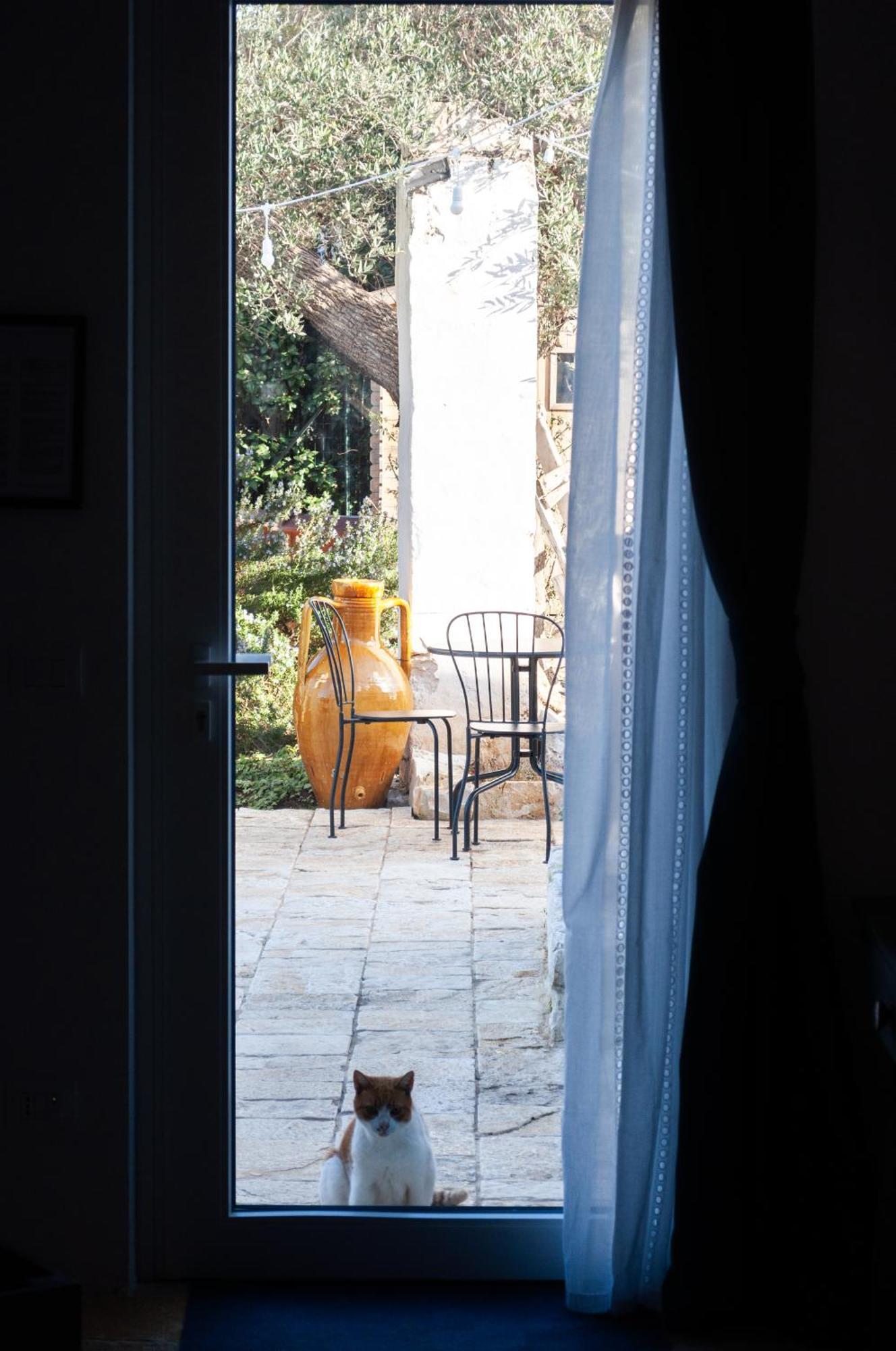 Casale Petrarolo Bed & Breakfast Monopoli Exterior photo